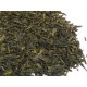 SENCHA