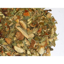 TISANA - GREEN GINGER